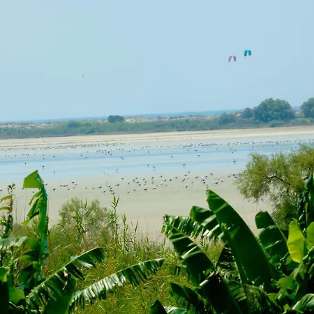 Tigaki's Star Tigaki