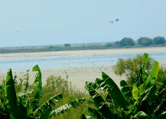 Tigaki's Star Tigkaki (Kos)